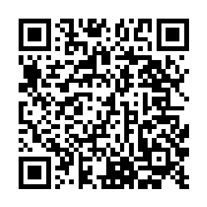这边店管事慎重而又热烈地介绍着每一根魔骨的特性二维码生成