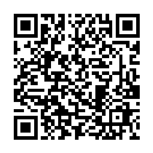 这边正准备去接电话脑海口又传来油条四个货的声音二维码生成