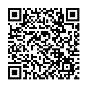 这边的动静立刻引的一名紫甲上将领着数人从天而降二维码生成