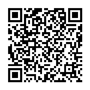 这还是夏天第一次看到天击无双如此轻松的被人破解二维码生成