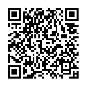 这还是苗翠花头次在自己跟前这么伏低做小的讨好二维码生成