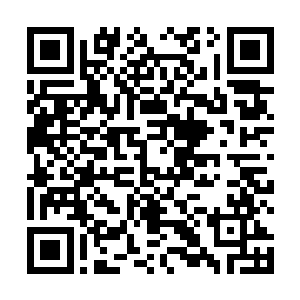 这还是袁鸿觉醒了混沌魔猿血脉之后第一次遇到的情况二维码生成
