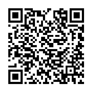 这迷族之中声望地位足够登门的人赫然已经都来了二维码生成
