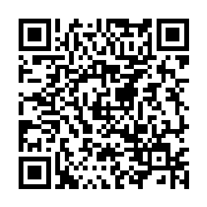 这逍遥山的青年和火神宫的天才这回可算是吃瘪了二维码生成