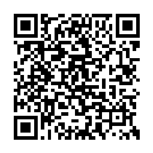 这通天峰虽然说并不是什么天尊高手的身体所化二维码生成