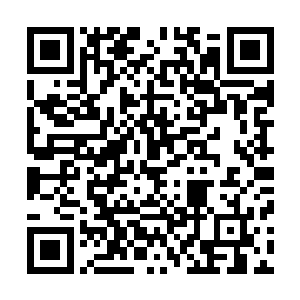 这道二十四桥明月夜与李奇上次在四国宴做的那道日月争辉二维码生成