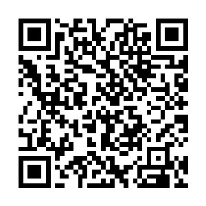 这道让此地诸强者都不敢去直视的光芒才消散在天地间二维码生成