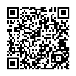 这道阴影终于是从血池之内出现在了人们视野之中二维码生成