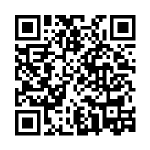 这都是和储物袋差不多的储物海螺二维码生成