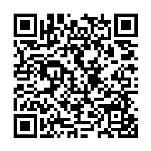 这都是当初在鉴宝大会时从东郭里师徒手中买来的二维码生成