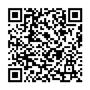这都是我根据临床经验结合太子妃的状况给出的推理二维码生成