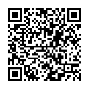 这里交给巴吉拉和安娜……她们才是这家店的健身经理二维码生成