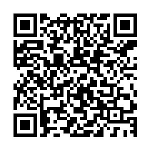 这里发生了这么大的事情肯定要将这里的情报尽快的传递回去二维码生成