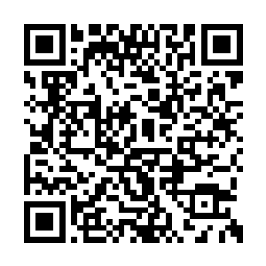 这里只驻守了大约二十头豺狼人战士和两只土狼二维码生成