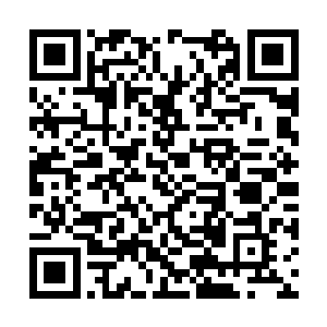 这里在百来年前便种满了来自全国各地的樱花名品二维码生成