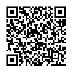 这里已经被囫囵族变成了他们在这里的繁殖基地二维码生成
