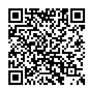 这里平时连那些高档高小费食客都招待不了几个二维码生成