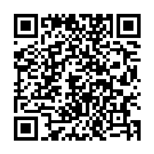 这里应该就是会刚刚那个提议来这里看大夫的人所说的二维码生成