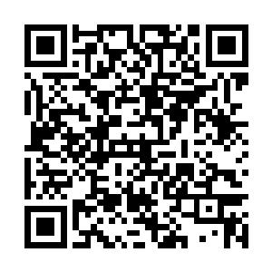 这里既然是神武帝当年以神火淬炼武道之体的地方二维码生成