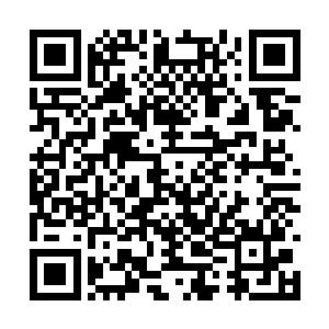 这里是签署了希望之城建设条例的术士们集结之所二维码生成