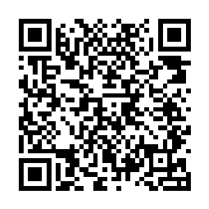 这里汇集这么多修真者并非都是为了寒阳丹而来的二维码生成