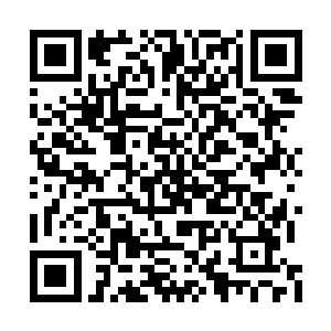 这里的人好像对龙傲天的出现并没有多少的注意二维码生成