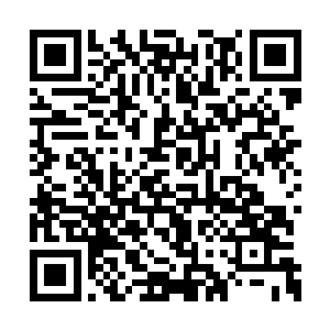 这里的生物都独自进化出了一套特有的生态体系二维码生成