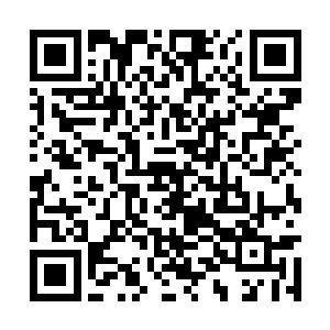 这里的警察甚至可以说是全国最为称职的执法队伍二维码生成