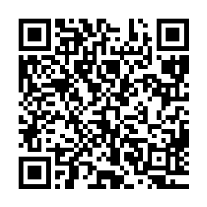 这里的部落不但比飞龙部落强大安全这里的人还都十分的友善二维码生成