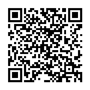 这里竟有一棵苍幽的古柏树已然越过了高高的府墙二维码生成