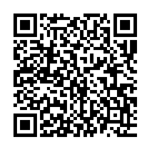 这里面的问题恐怕只有丁羽和布鲁诺两个人能够给与相当的解释二维码生成