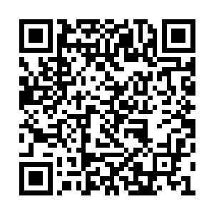这野蛮牛王不仅保留了奶牛之王的强大恢复能力二维码生成