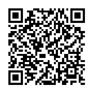 这针眼大小的洞眼应该是剑蝶幼虫从颅骨破出的时候留下的二维码生成