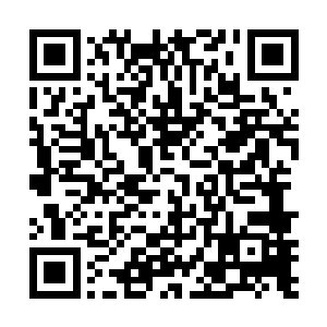 这队人根本就没想到夏天能够从那么多人面前穿梭过来二维码生成