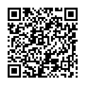 这阴暗幽深的环境中肯定少不了蝙蝠这种阴秽之物二维码生成