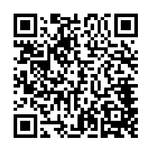 这阴谋诡计的前因后果倒比那算计之人还要清楚许多二维码生成