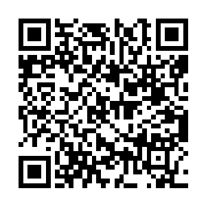 这陆妙心就是在他的指点下才发生这样巨大的变化二维码生成