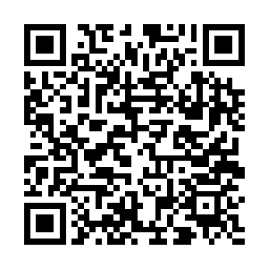 这霍绝居然会为了自己的那一点可笑的自尊而选择自爆二维码生成