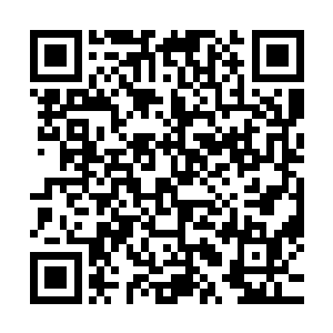 这霜雪城中竟然拥有自己的货币――一种好像绿叶一般的东西二维码生成