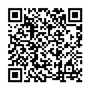 这顿时让卫老冲到千夜身边寻找安全地带的想法胎死腹中二维码生成