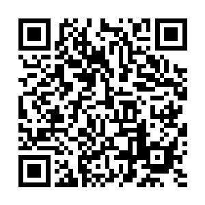 这顿时让赤炎神蛟有些愤怒的同时眼底也闪过了意思狐疑二维码生成