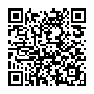 这预示着他们四个人已经有了一个元婴老祖的尊严二维码生成