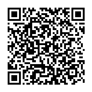 这颗回春草上并没有蚜虫――大概这一片回春草都是被黑蚂蚁控制的二维码生成
