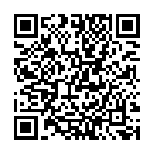 这颗星球的整个世界据说就是在这棵树上建立起来的二维码生成