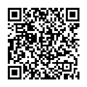 这飞刺乃是大秦时候集合五金之精所铸造出来的强横凶器二维码生成