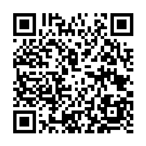 这高层中的重要人物的到来对他们来说是一个机会二维码生成