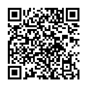 这魔怎么也没有想到自己只是想要灼烧完钱忠林的灵魂二维码生成
