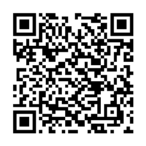 这鲜血巨人其实已相当于一个最低级别的灵环真人二维码生成