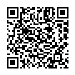 这鳄蛟岛除了他们这些能够适应这里环境的妖修之外二维码生成