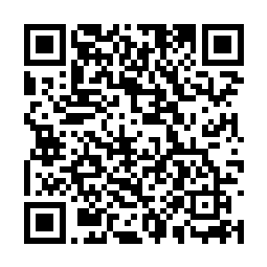 这鸟不是上古时期号称速度最为快的――影刺鸟吗二维码生成